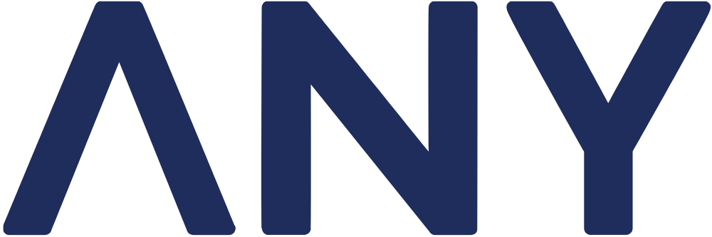 ANY Infra